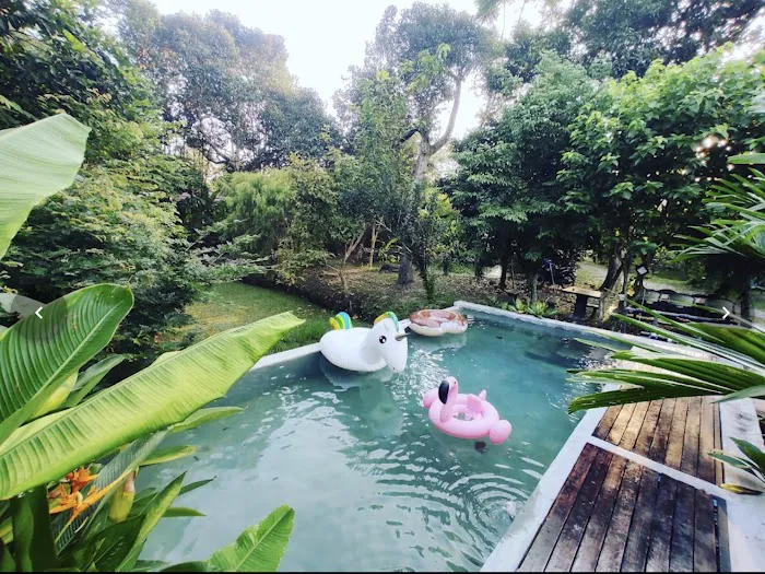 Trigofarm Retreat Picture 4
