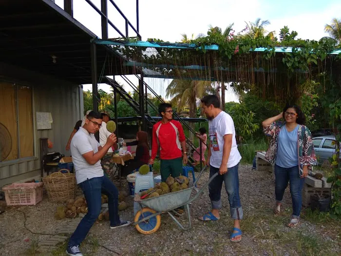 Trigofarm Retreat Picture 5