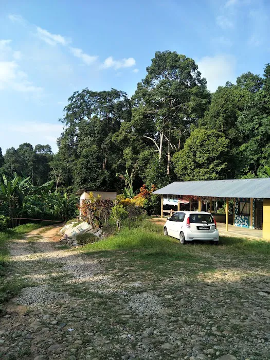 Stong Agro Biz Resources Picture 3