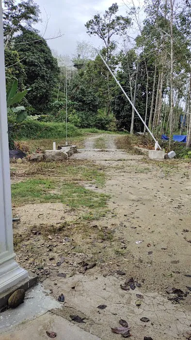 Riverside Homestay Picture 8