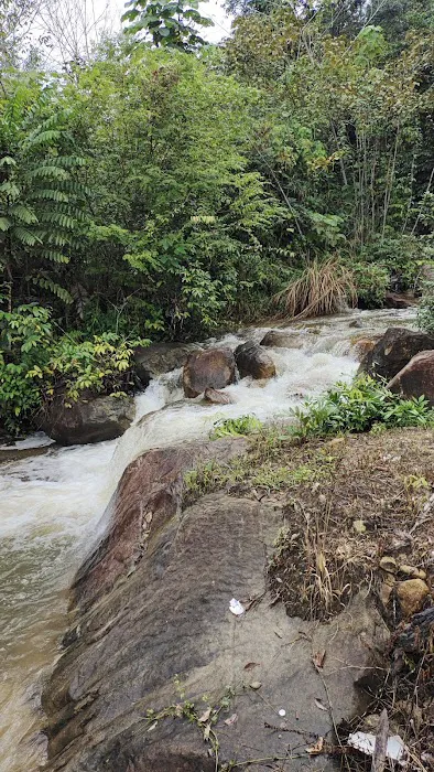 Riverside Homestay Picture 7