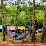 Stong Heritage Eco Resort