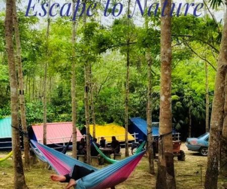 Stong Heritage Eco Resort