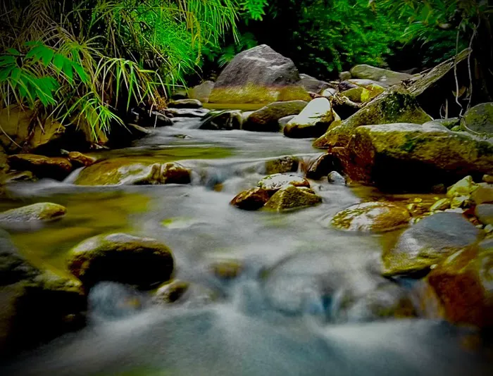 Stong Heritage Eco Resort Picture 9
