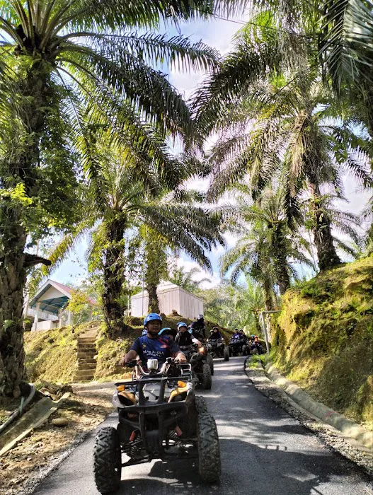 Stong Heritage Eco Resort Picture 8