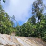 Ponik Guesthouse & Homestay Dabong