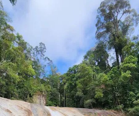 Ponik Guesthouse & Homestay Dabong
