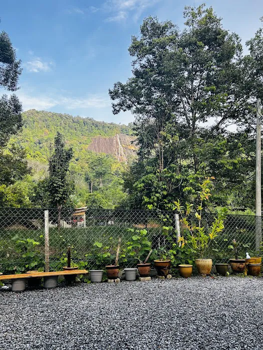 Ponik Guesthouse & Homestay Dabong Picture 7