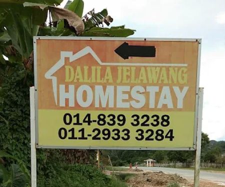 Dalila Jelawang Homestay