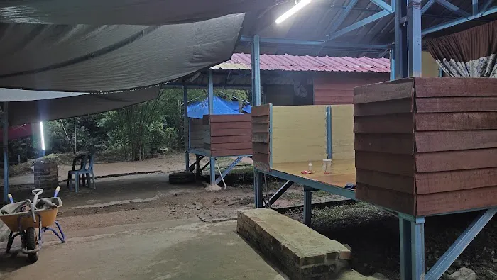 Dangau Kikin Picture 3