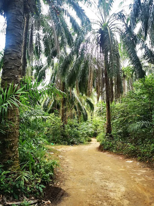 Rosyabillah Caravan & Campsite Picture 7