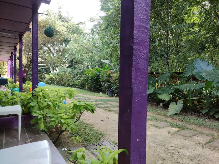 Eco Murai Rimba Picture 7