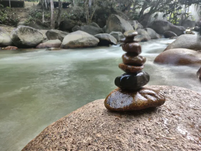 Eco Murai Rimba Picture 4