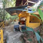 Eco Murai Rimba