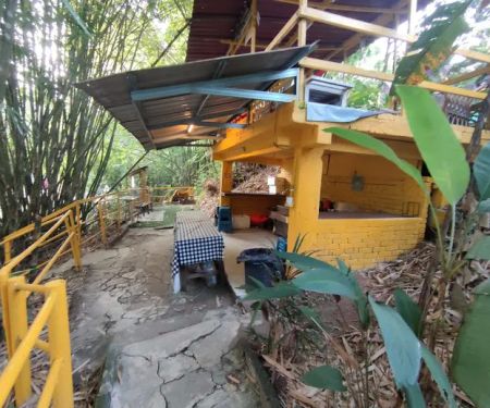 Eco Murai Rimba