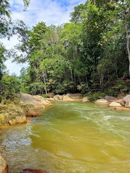 Eco Murai Rimba Picture 8