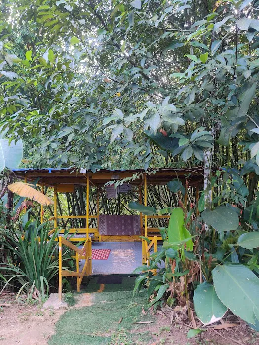 Eco Murai Rimba Picture 9