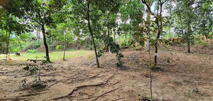 Rimbakali Camping Site Picture 1