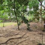 Rimbakali Camping Site