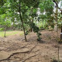 Rimbakali Camping Site ico