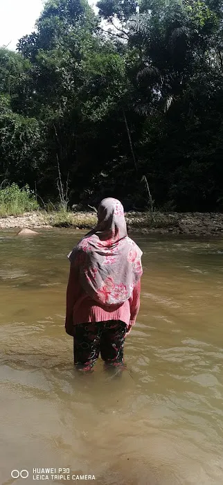Rimbakali Camping Site Picture 9