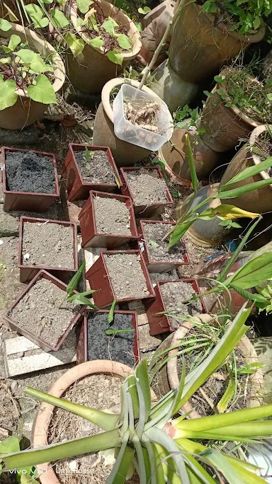 Rumah Tamu Lestary 2 Picture 10