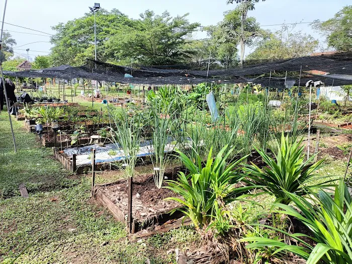 Teratak Kekom 7 Picture 3