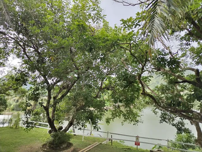 Tasik Kebun Serendah Picture 9