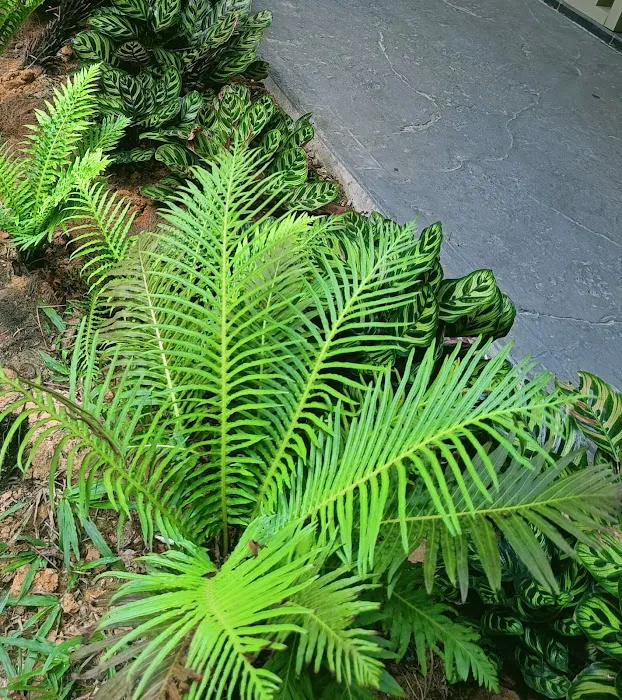 Athree Homestay Picture 9