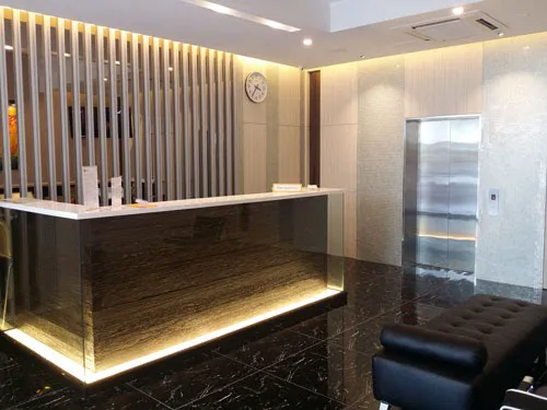 De Elements Business Hotel Picture 9