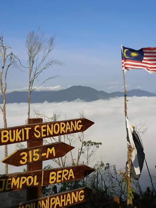 武吉诗诺兰山(bukit senorang) Picture 2