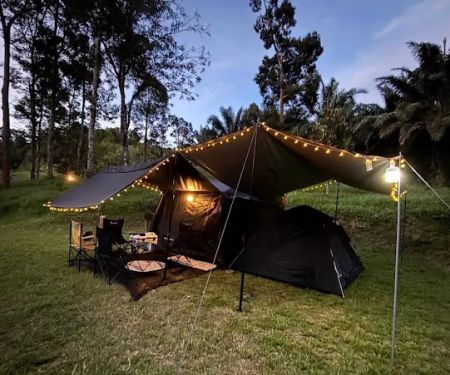 Dinopium Hill Campground