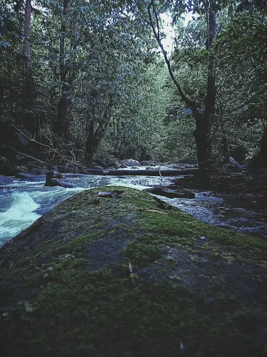Lata Sia Campsite Picture 5