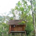 Belantara Camp Santai