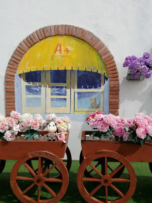A+ Boutique Hotel Picture 6