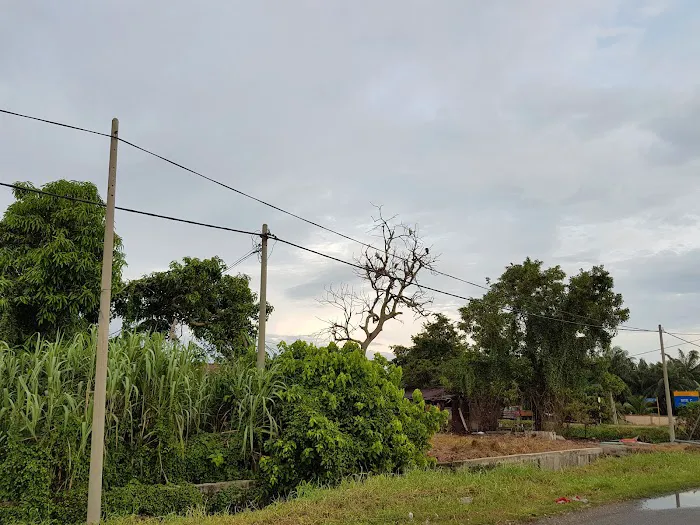 Paddy Village Hotel, Sekinchan Picture 4