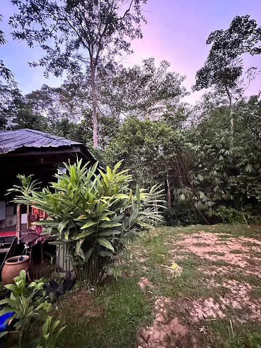 Ulu Camp Bernam Picture 2