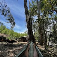 WildCampsite Pak Mus MCO ico