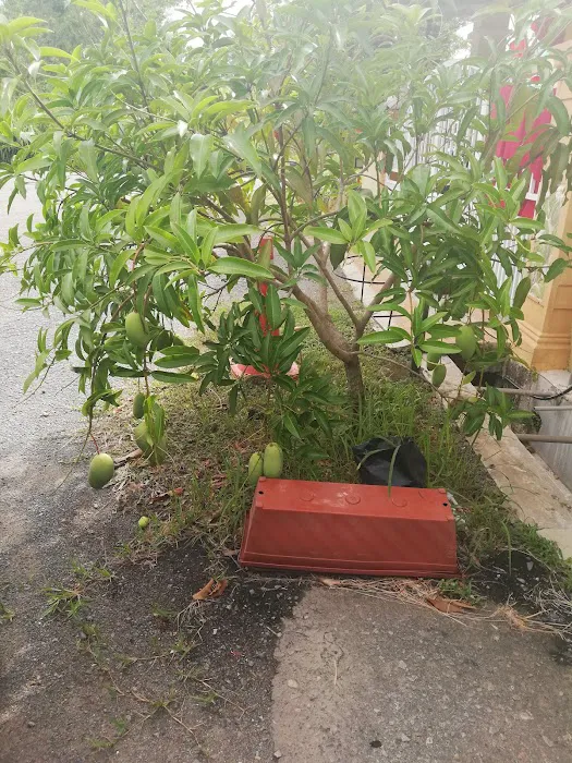 Taman Gemilang Emas Picture 2