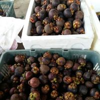 Taman Gemilang Emas ico