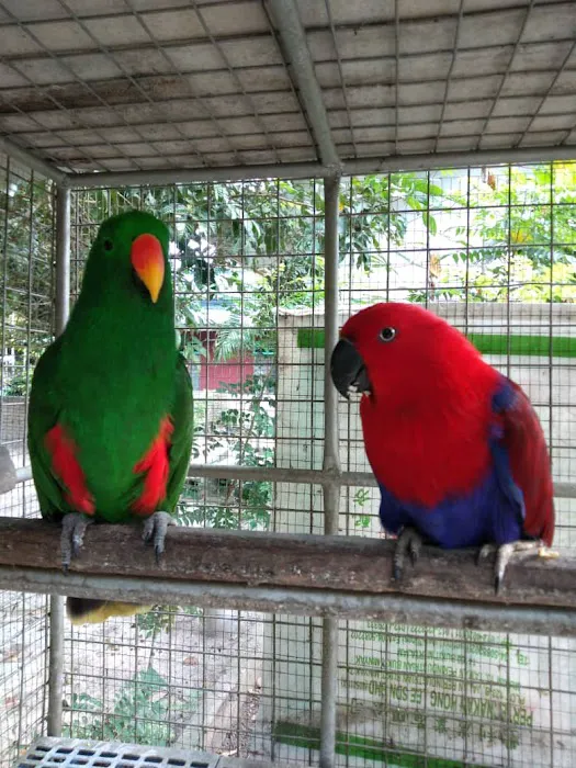 Villa Merak Mutiara farm and homestay Picture 4