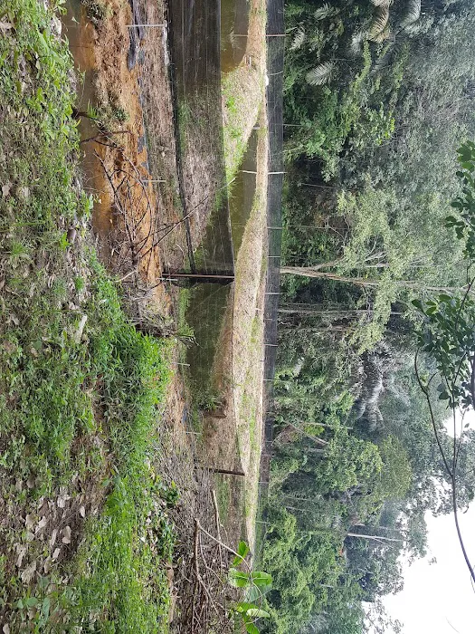 Ulu Basol Recreation Park Picture 10