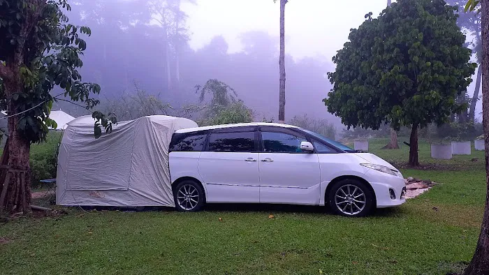 River Valley Campsite Picture 4