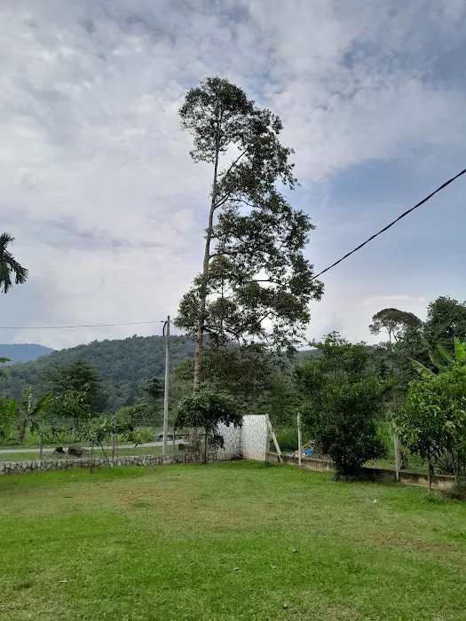 Homestay DLubok Kuala Kangsar Picture 2