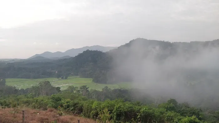 Dusun Durian KOME Kuala Kangsar Picture 3