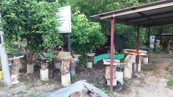 Quber kelulut Picture 1