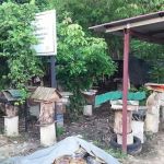 Quber kelulut