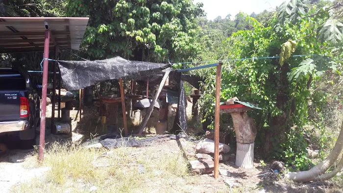Quber kelulut Picture 2
