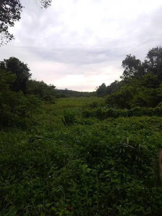 Kampong To' Biah, Kampong Seberang Mengkarak Picture 1