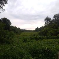 Kampong To' Biah, Kampong Seberang Mengkarak ico